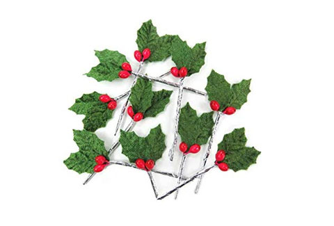 クリスマスの赤い実のなる木は何 意味や飾り方 食べられるの 宝実のクリスマスイブニング幸せ情報